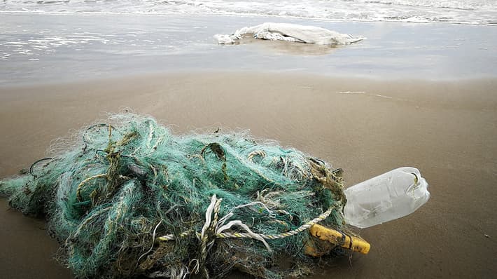 plastic netting washed up on shore