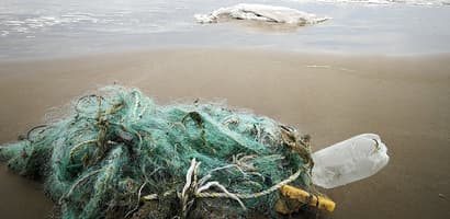 plastic netting washed up on shore