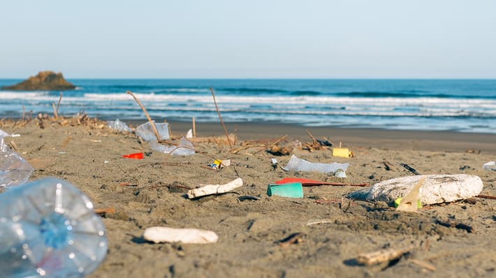 plastic waste on a beach