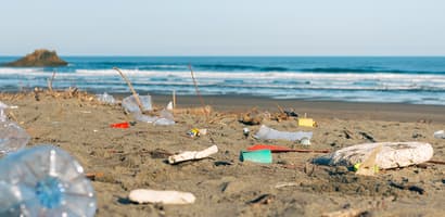 plastavfall på stranden