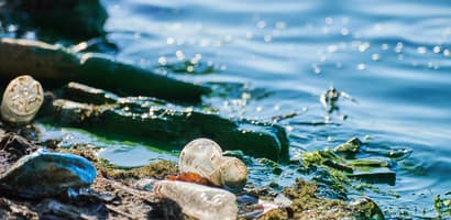plastic waste washing ashore
