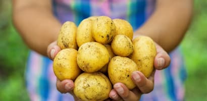 Potatoes-select your product-Fresh Pack Potatoes