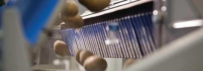TOMRA potato sorting machine