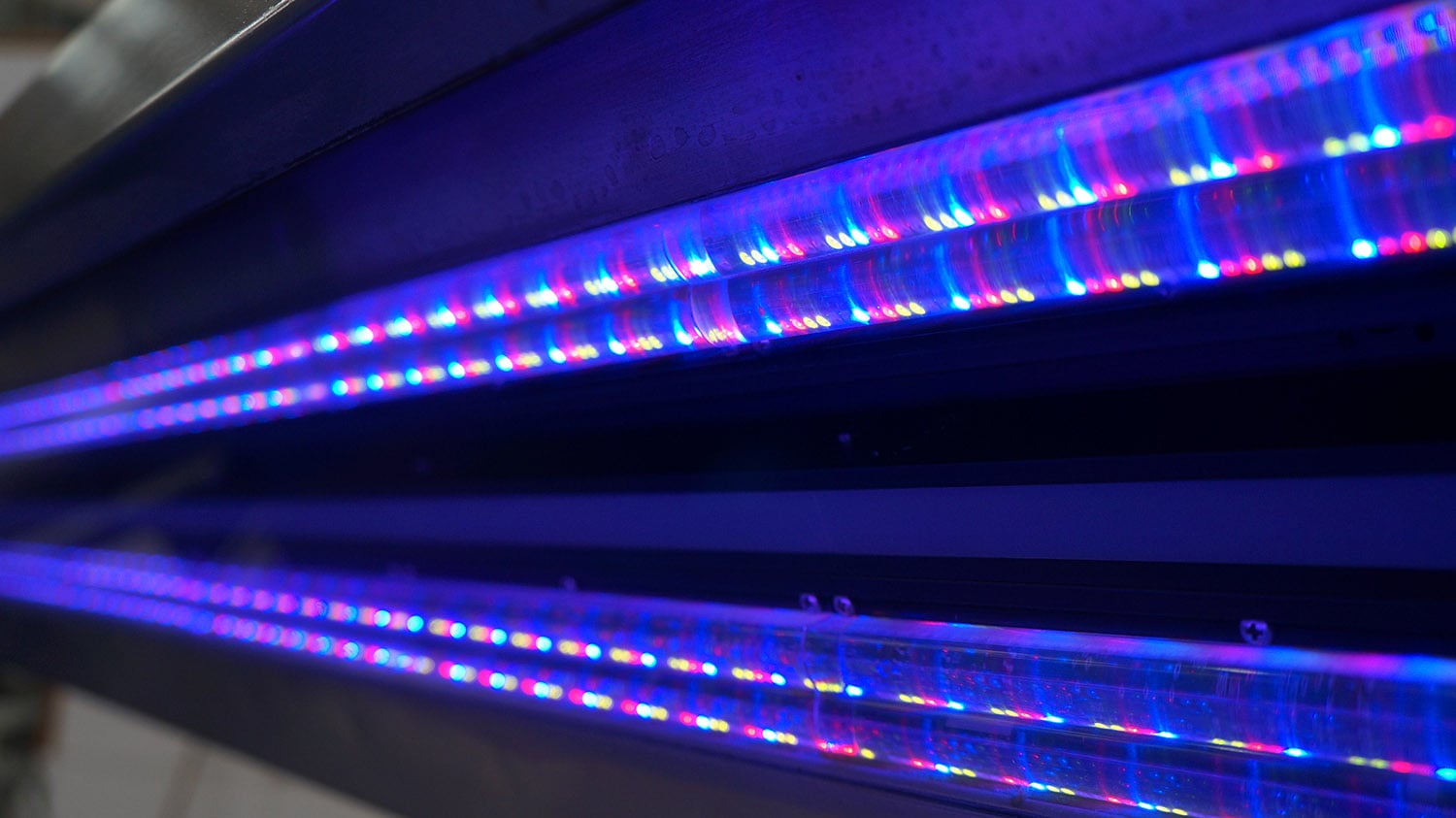 TOMRA Food pulsed led technology
