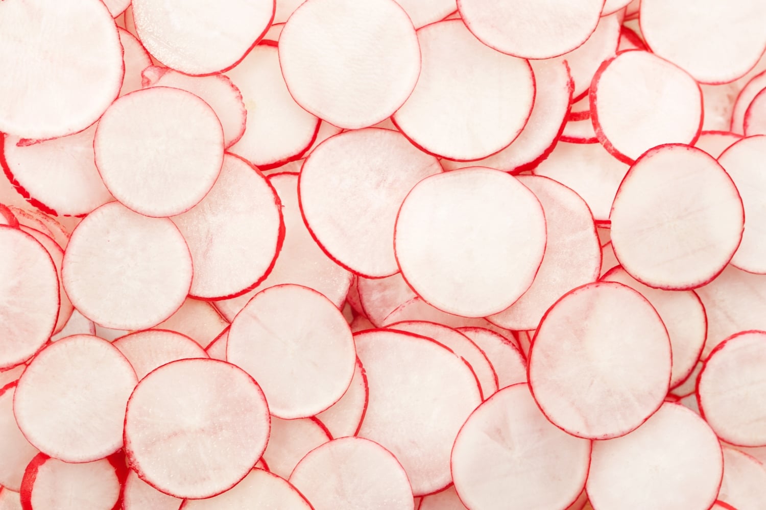 Radishes-KB-3