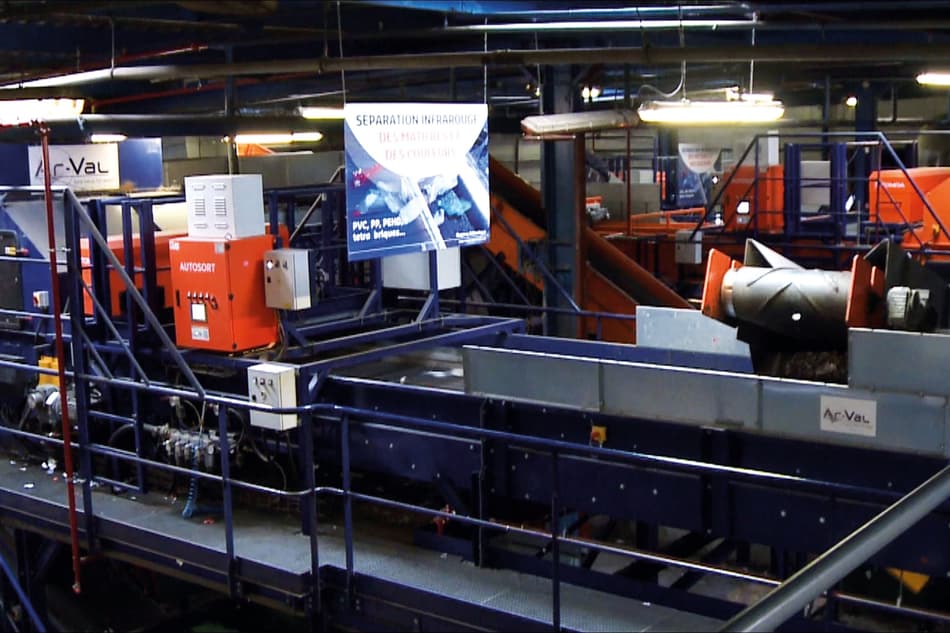 Regene plant sorting
