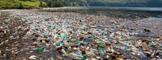 Shoreline filled with plastic bottles