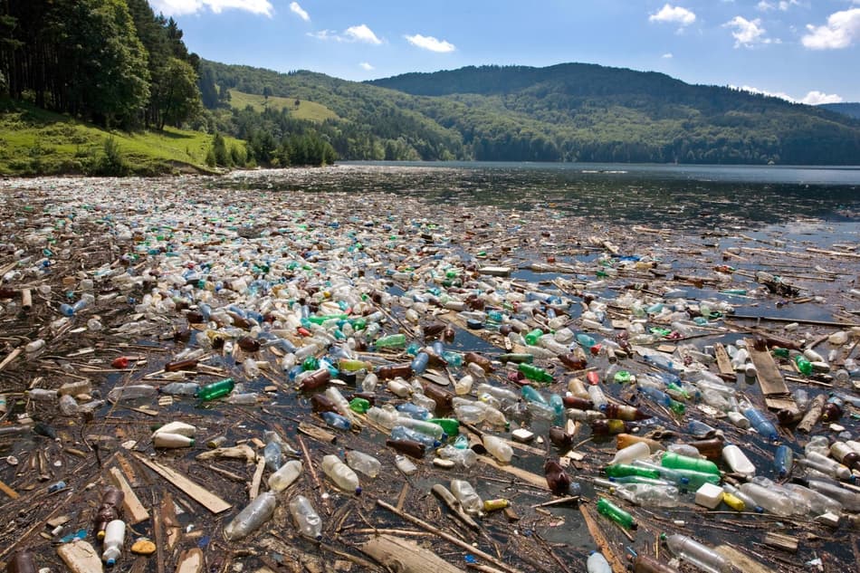 Shoreline filled with plastic bottles