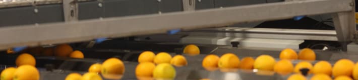Blue Spectrim Cabinet with mandarins in the foreground