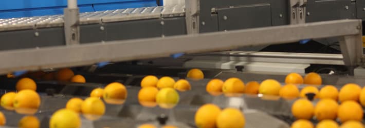 Blue Spectrim Cabinet with mandarins in the foreground