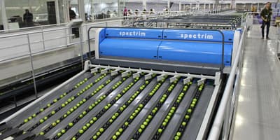 TOMRA apples sorting