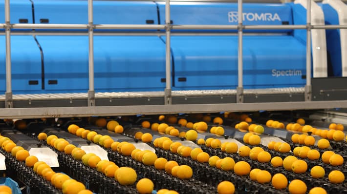 Spectrim cabinet with oranges on the line