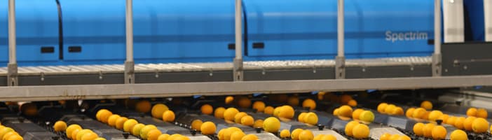Spectrim cabinet with oranges on the line