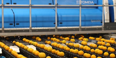 Spectrim cabinet with oranges on the line