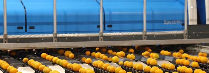 Spectrim cabinet with oranges on the line