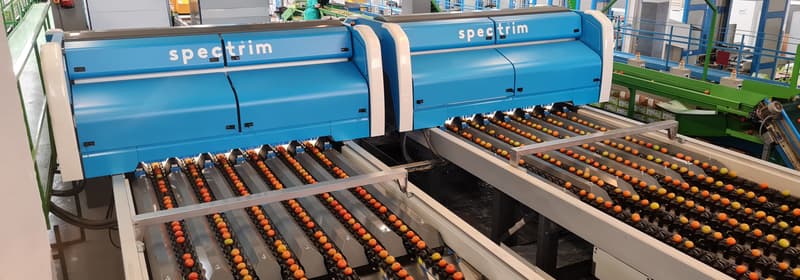 A picture of the Spectrim cabinet with apples running on the  TOMRA 5SA carriers