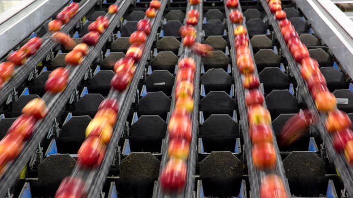 TOMRA apple sorting