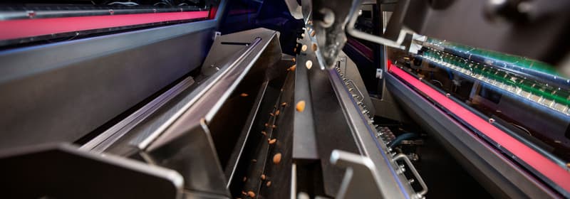 The TOMRA 4C sorting nuts as product falls down the chute 