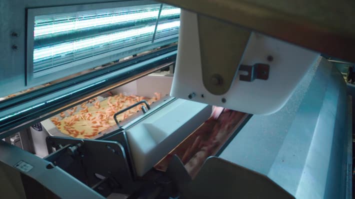 Blizzard sorting machine frozen carrot sorting