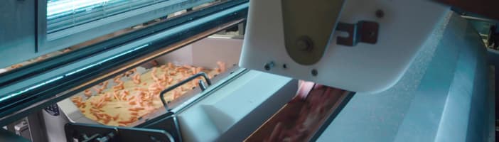 Blizzard sorting machine frozen carrot sorting
