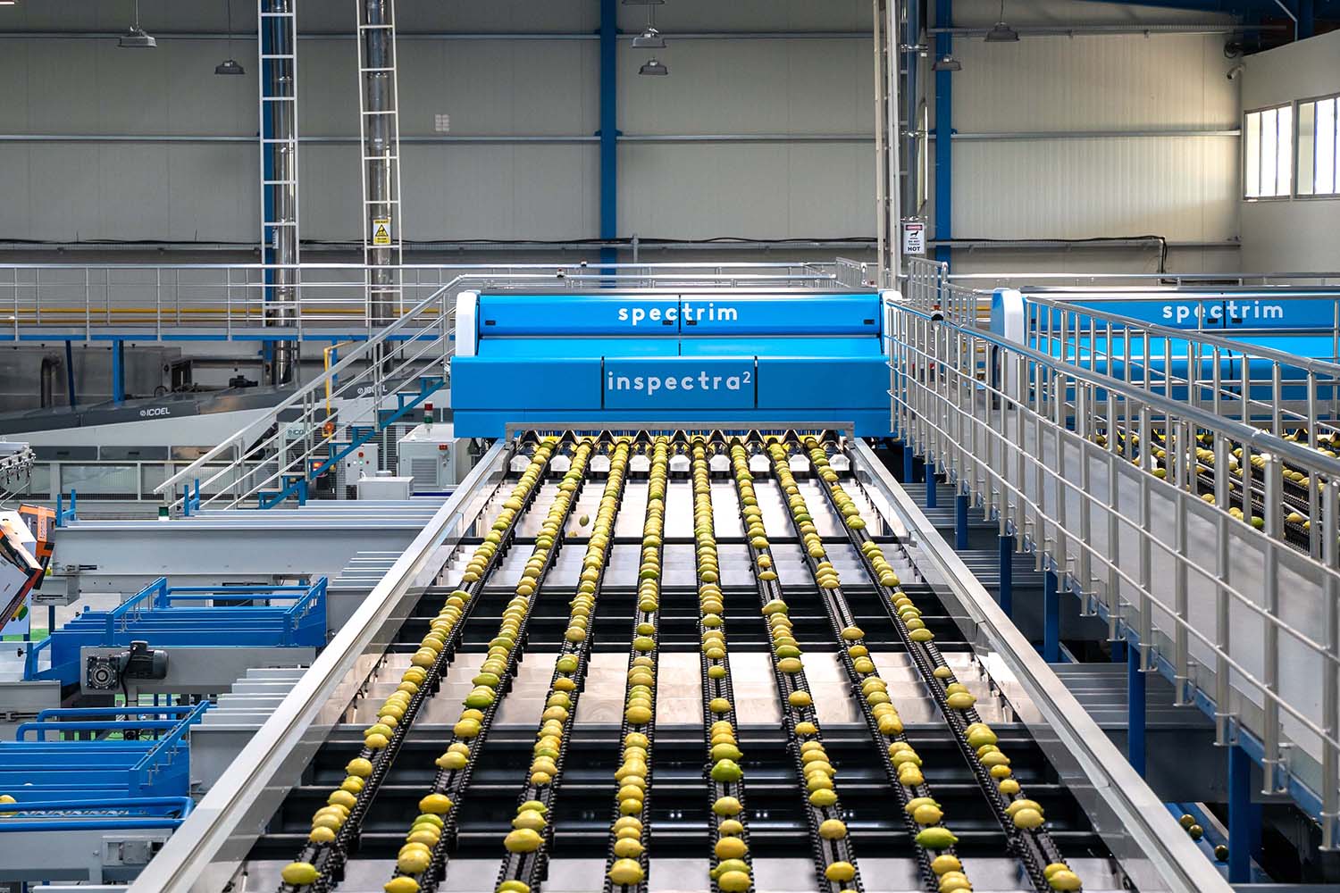 Özler Tarım plant