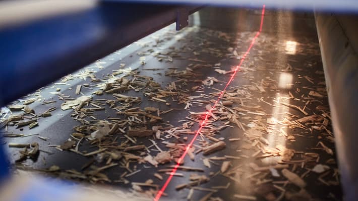Wood on conveyer belt