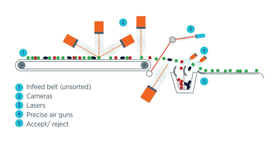 An illustration of the TOMRA 5B working principle, from infeed to accept/reject feeds, showing how produce moves along the belt and is then sorted by air ejectors