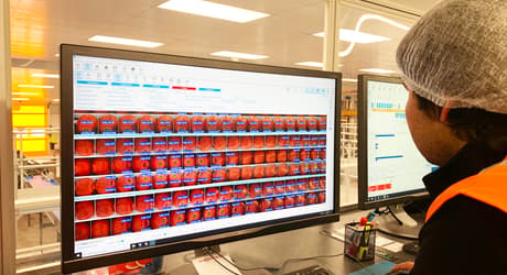 User looking at a monitor with LUCAi for apples running