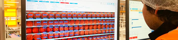 User looking at a monitor with LUCAi for apples running