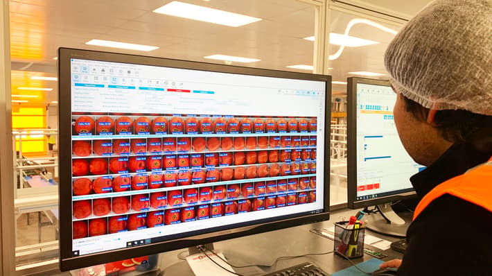 User looking at a monitor with LUCAi for apples running