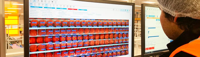 User looking at a monitor with LUCAi for apples running