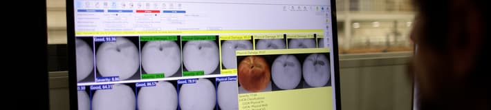 AI recognition for stonefruit