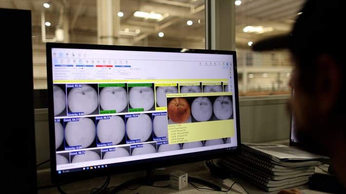 AI recognition for stonefruit