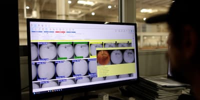 Lucai for Stonefruit machine