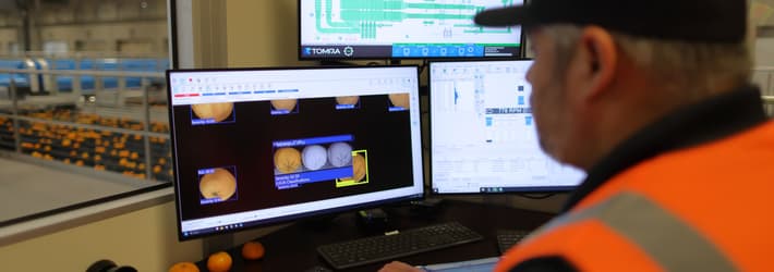 A man in a high-vis vest looking at a computer monitor showing LUCAi, a deep learning tool for oranges that detects defects and assigns a unique severity rating