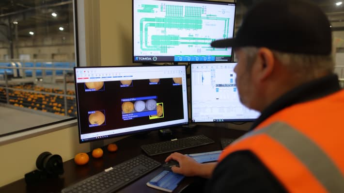 A man in a high-vis vest looking at a computer monitor showing LUCAi, a deep learning tool for oranges that detects defects and assigns a unique severity rating