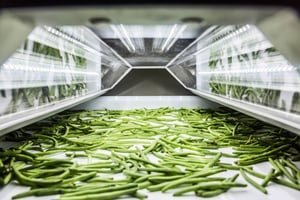 TOMRA  5B machine sorting leafy greens