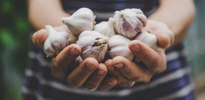 TOMRA Food garlic sorting