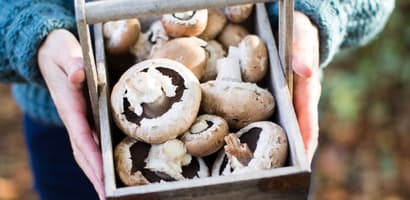 TOMRA Food mushrooms sorting