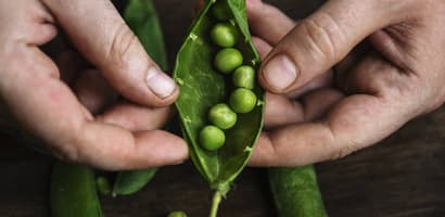 TOMRA Food peas sorting