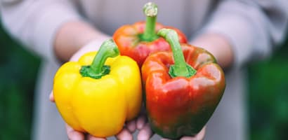 TOMRA Food peppers sorting