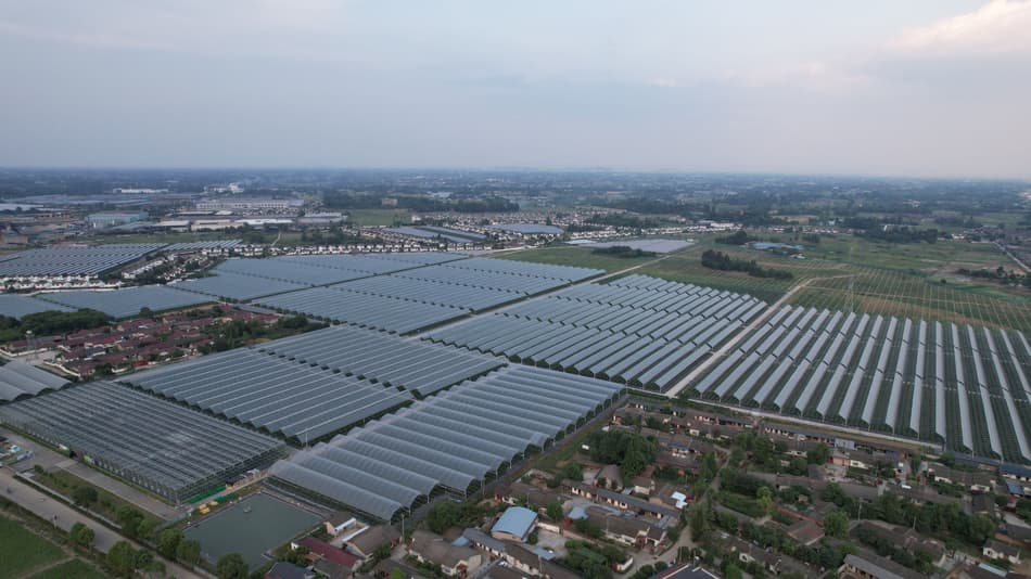 Drone view of Decai Agriculture packhouse