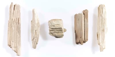 wood recycling tomra
