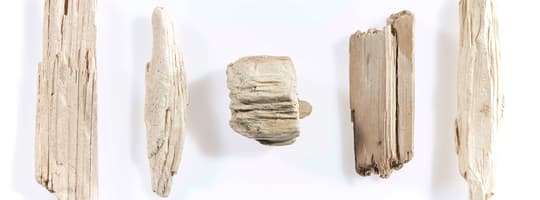 wood recycling tomra