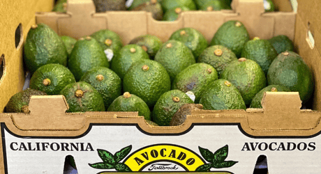 Two boxes of Del Ray avocados packed