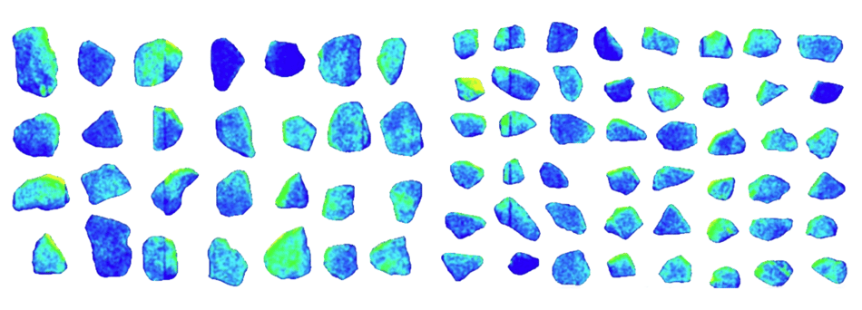 Figure 1 - SAG Mill Pebble XRT Image Scans_SRK Consulting