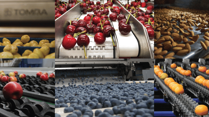 TOMRA Food sorting