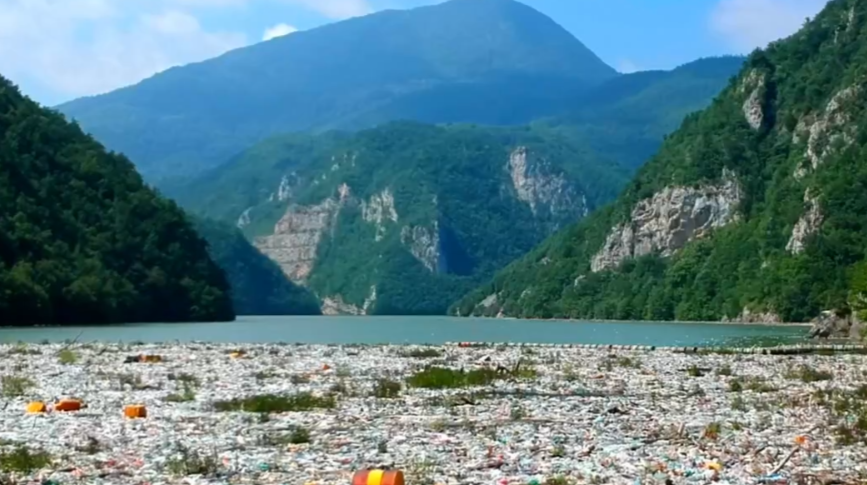 Polluted Lake