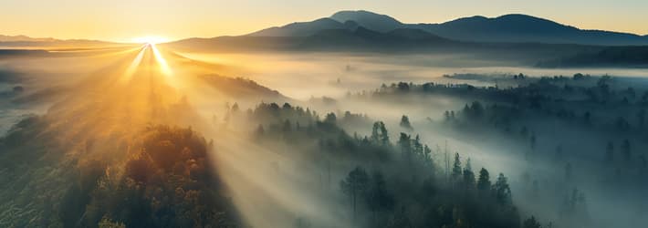 Aerial view of a sun rise with rays shining into misty treetops