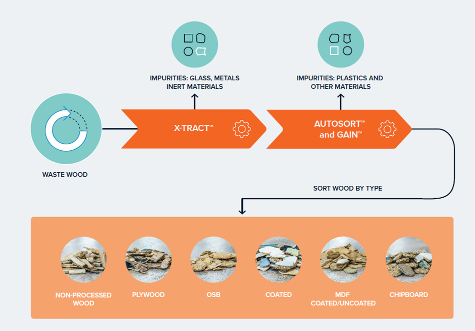Wood sorting process with TOMRA technology